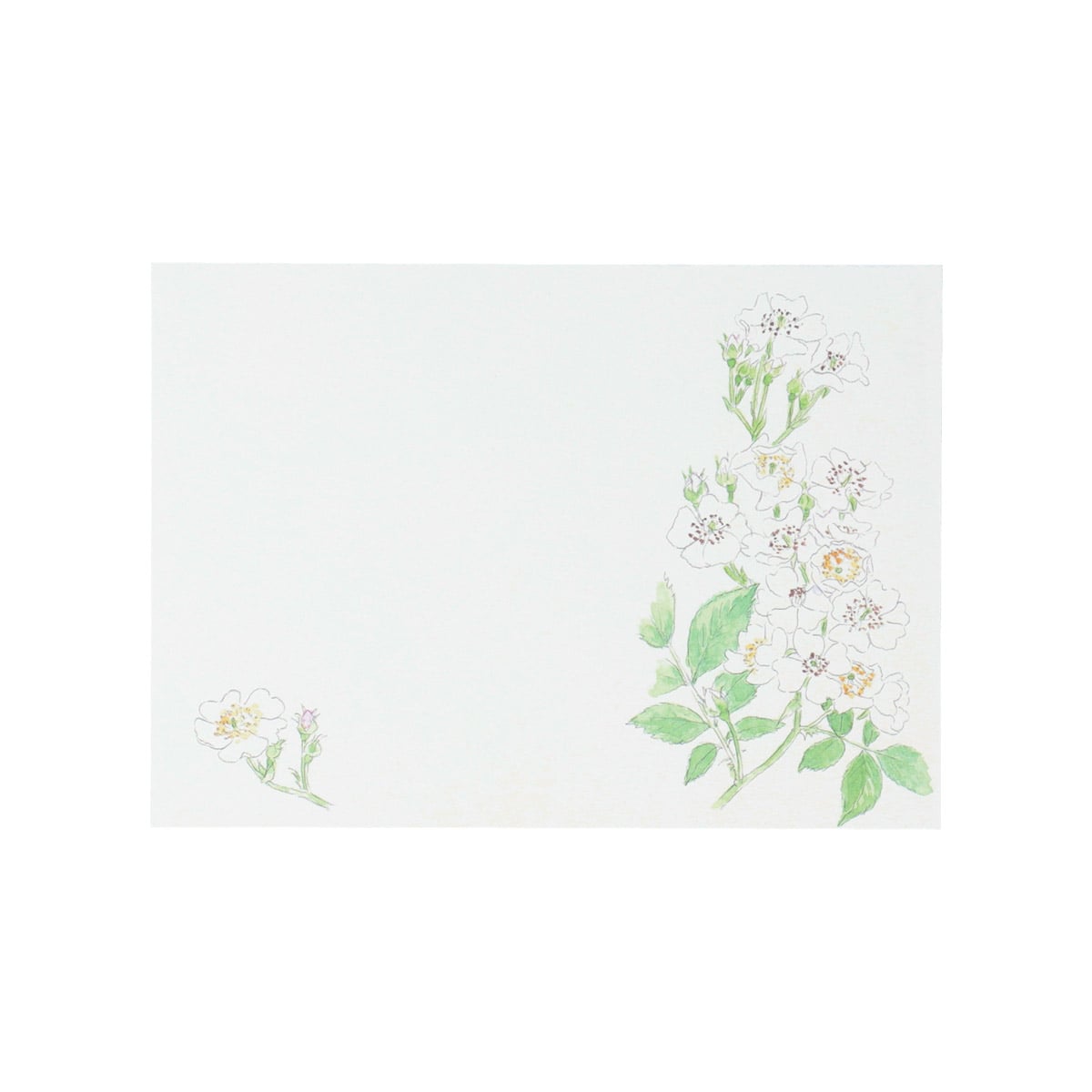 Totoro Fund Forest Seasons Postcard Sets (2 Types) - Spring and Summer - official view 5