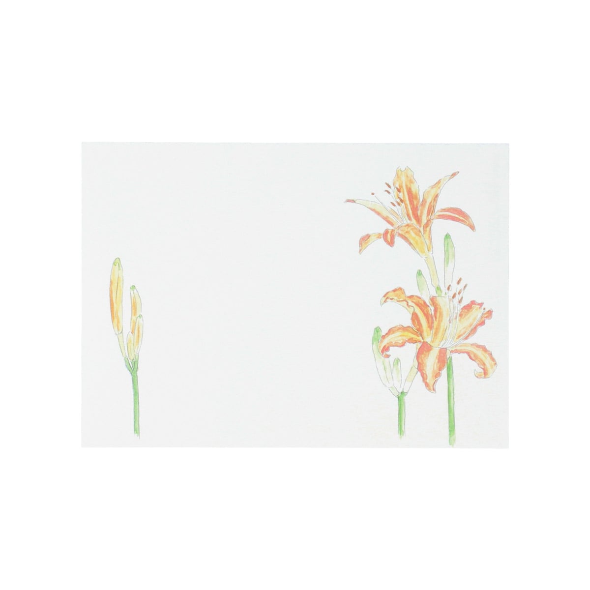 Totoro Fund Forest Seasons Postcard Sets (2 Types) - Spring and Summer - official view 7