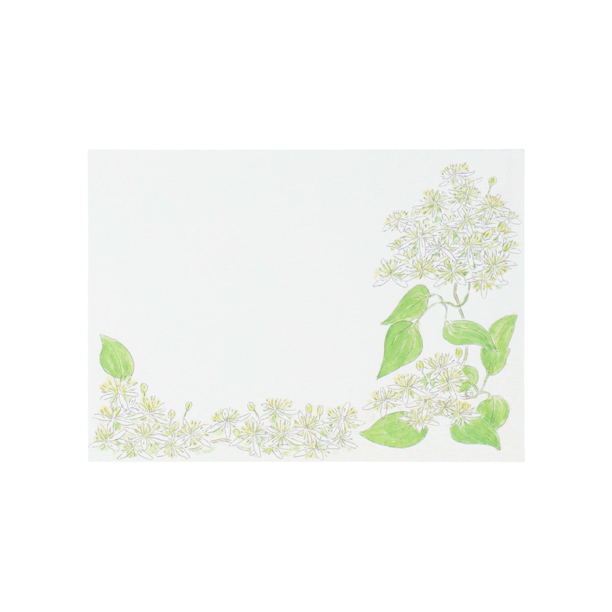 Totoro Fund Forest Seasons Postcard Sets (2 Types) - Spring and Summer - official view 8