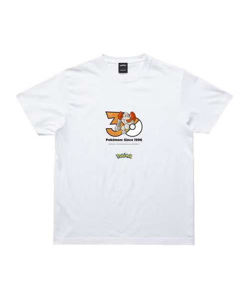 Regirock - Official Product Image 1