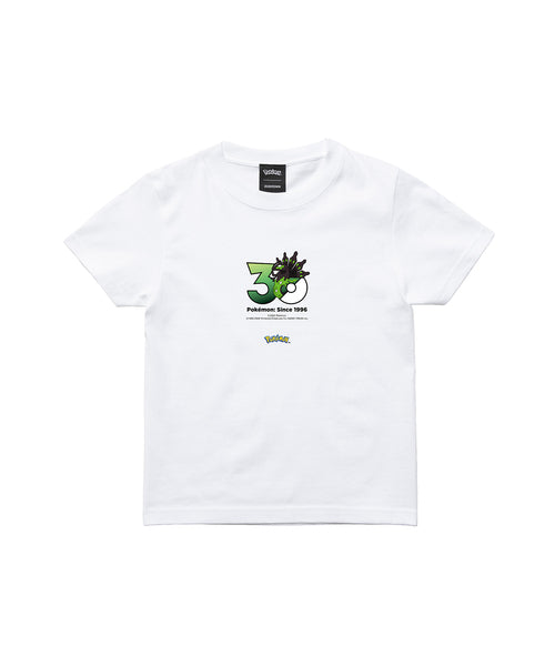 Zygarde - Official Product Image 3