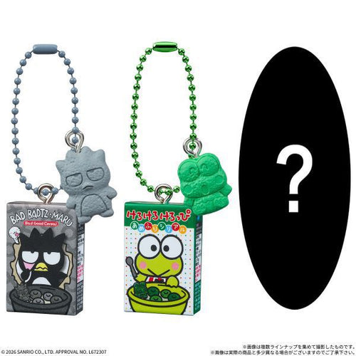 Sanrio Cereal Charms & Chocolate Flakes - Japanese 10-Pack Box ...