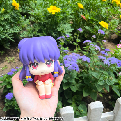 Ranma 1/2 Rukappu (Look Up) - Ranma & Shampoo Set