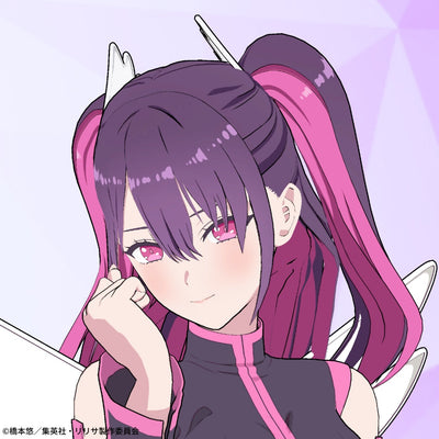 2.5 Dimensional Seduction Digital Figure Box - Miriella