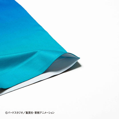 Dragon Ball Z No. 021 Bulma Unisex Polyester Boxer Shorts for Men and Women