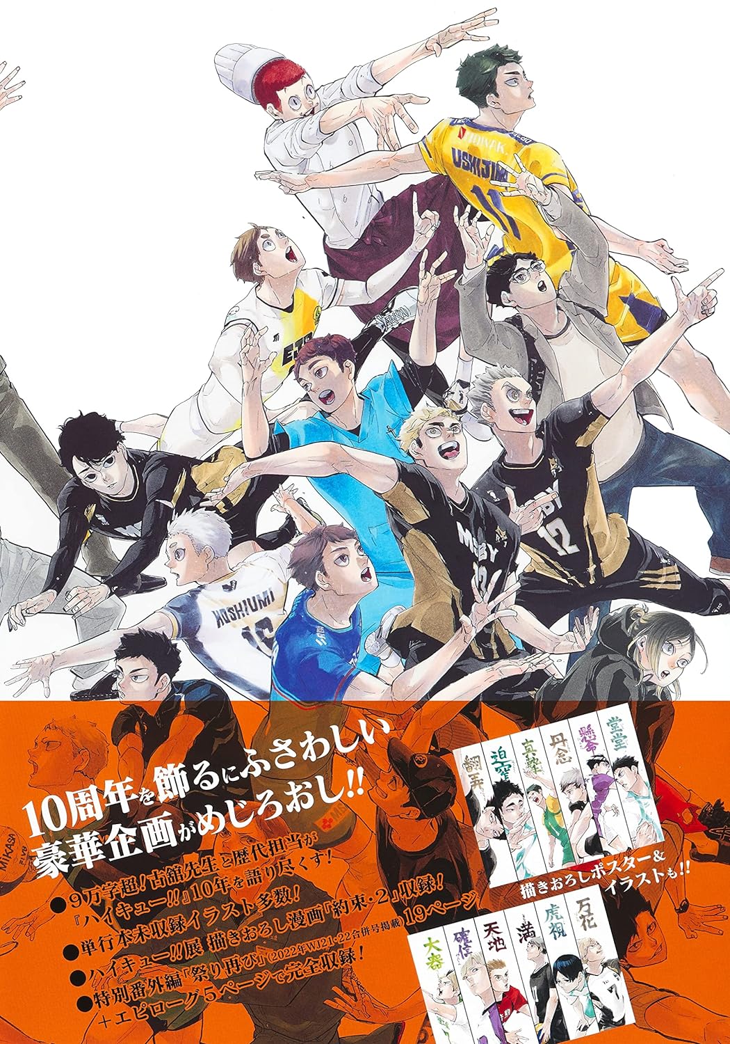 Haikyuu 10th anniversary chronicles hotsell book