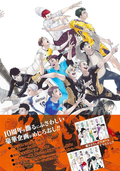 HAIKYU!! 10TH CHRONICLE (COLLECTED EDITION COMICS)