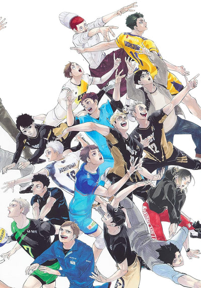 HAIKYU!! 10TH CHRONICLE (COLLECTED EDITION COMICS)
