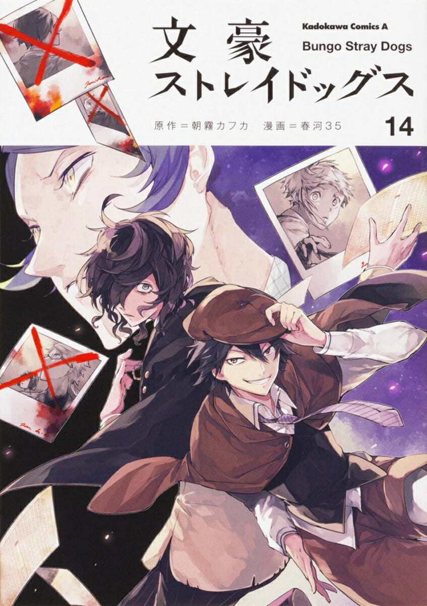 Bungo Stray Dogs - Volume 14 - Japanese Manga – cover