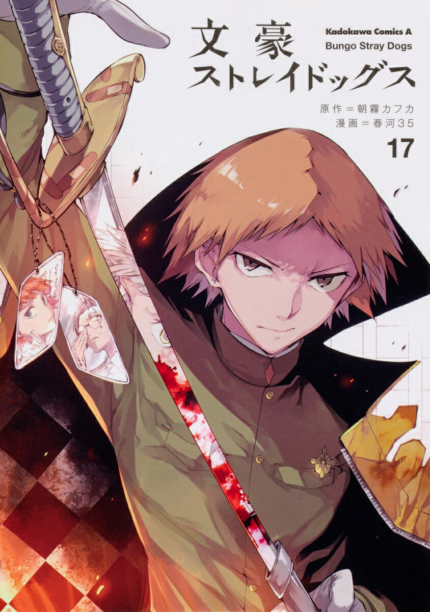 Bungo Stray Dogs - Volume 17 - Japanese Manga – cover