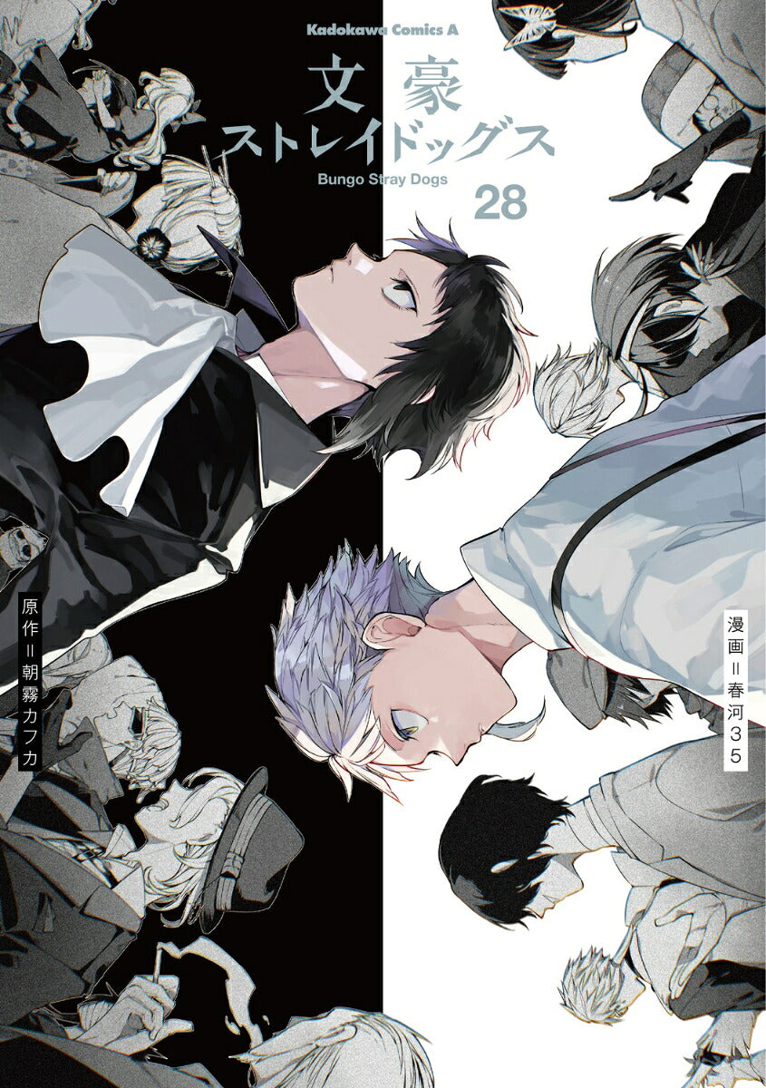 Bungo Stray Dogs - Volume 28 - Japanese Manga – cover