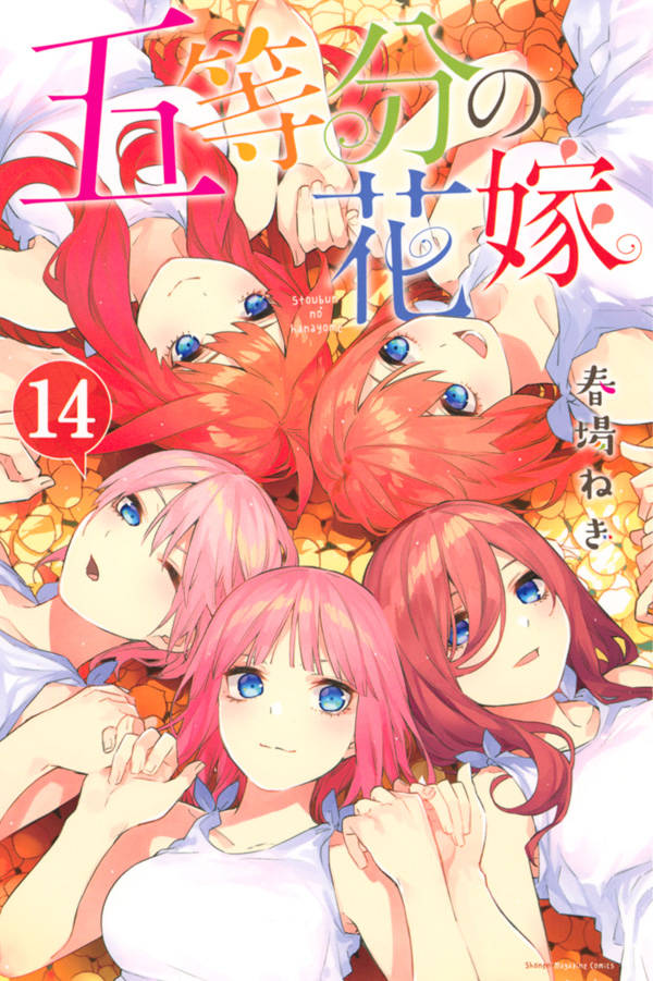 The Quintessential Quintuplets - Volume 14 - Japanese Manga – cover