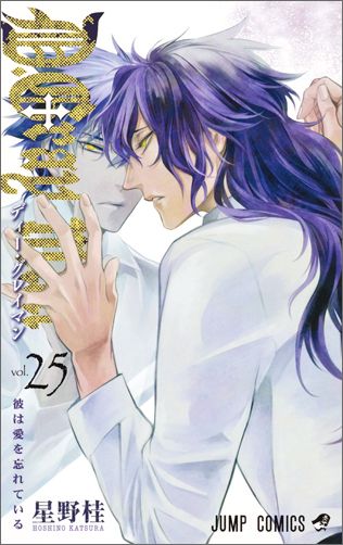 D.Gray-man - Volume 25 - Japanese Manga – cover