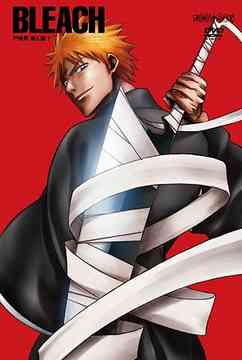 BLEACH Soul Society Sennyu Hen 1 [Regular Edition] - DVD, Japanese Edition