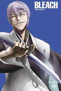 BLEACH Soul Society Sennyu Hen 2 - DVD, Japanese Edition
