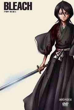 BLEACH Soul Society Sennyu Hen 5 - DVD, Japanese Edition