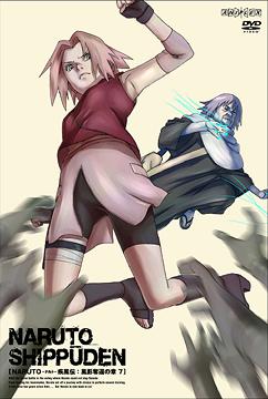 NARUTO Shippuden Kazekage Rescue Arc 7 [Regular Edition] - DVD, Japanese Edition