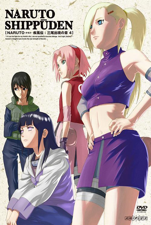 NARUTO - Shippuden Sanbi Shutsugen no Sho 4 - DVD, Japanese Edition