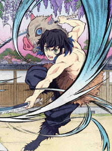 Demon Slayer: Kimetsu no Yaiba 6 [Limited Release] - DVD, Japanese Edition