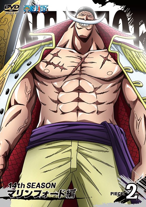 ONE PIECE 14th Season Marineford Arc Piece.2 - DVD, Japanese Edition