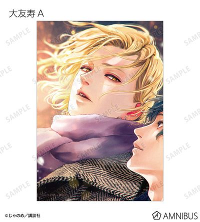 Twilight Out of Focus - Trading bromide [BOX] [Pre-Order Jul 2026]