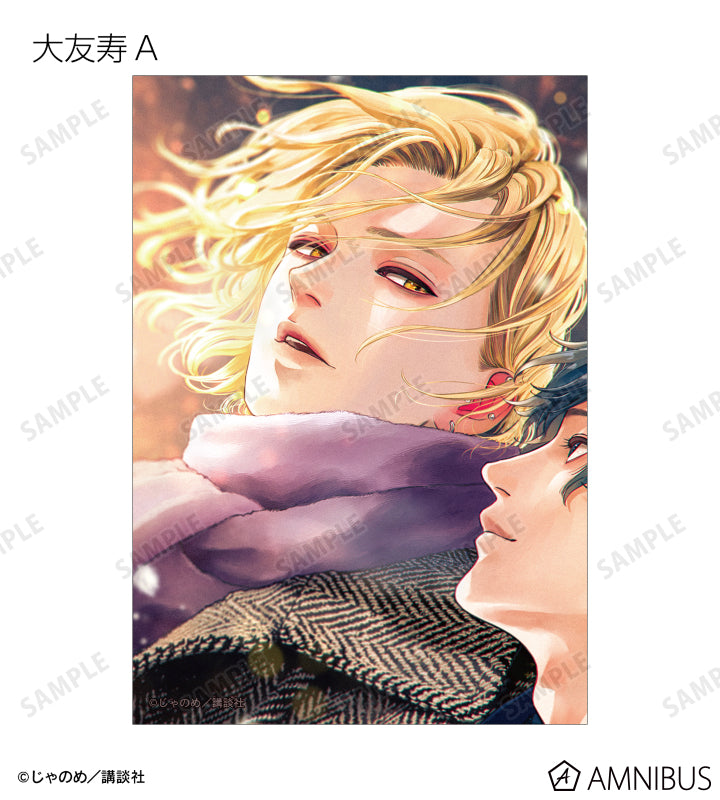 Twilight Out of Focus - Trading bromide [BOX] [Pre-Order Jul 2026]