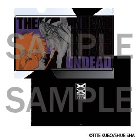 Bleach the Locus of Brave 2 Exhibition - Clear File to Choose