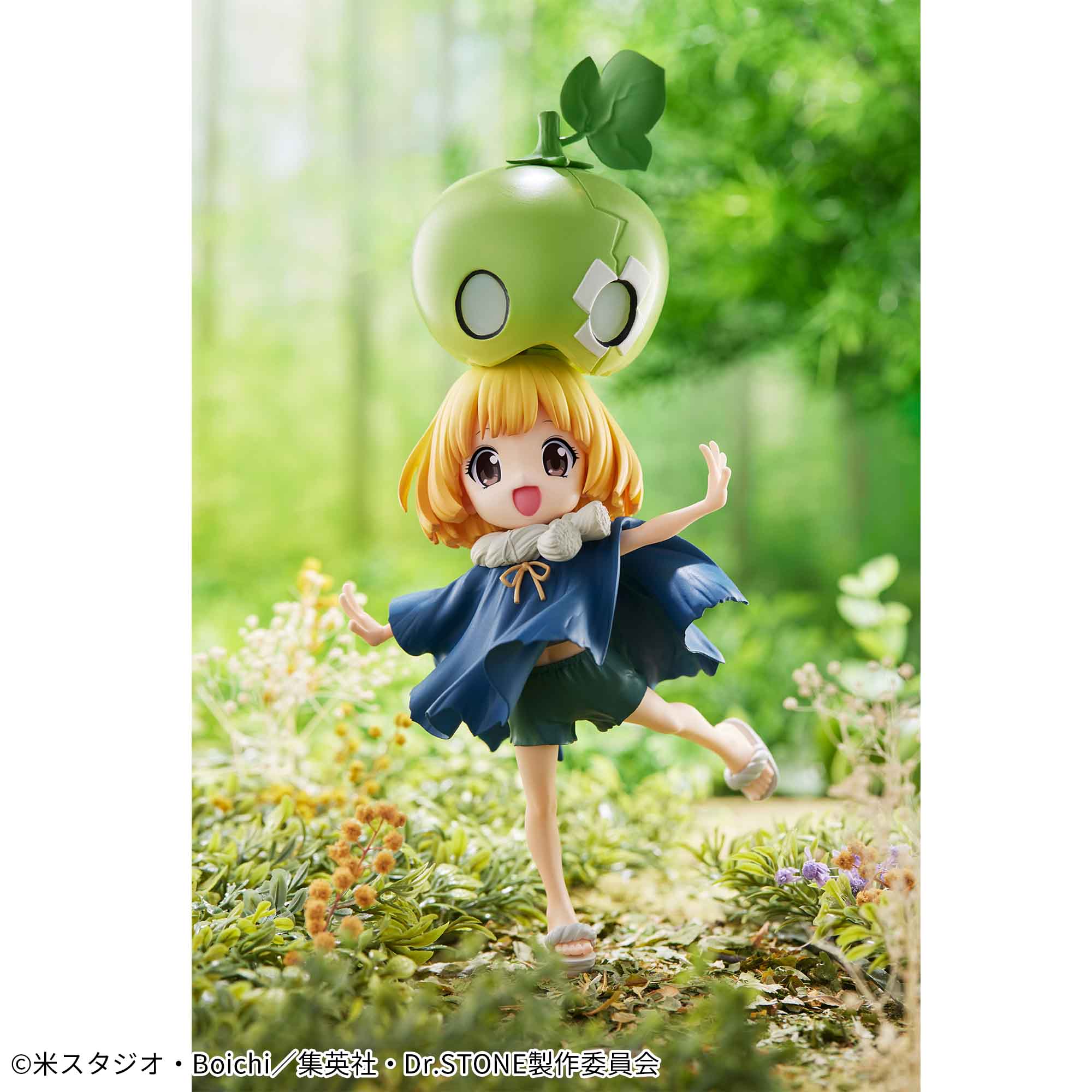 DR. STONE - Suika