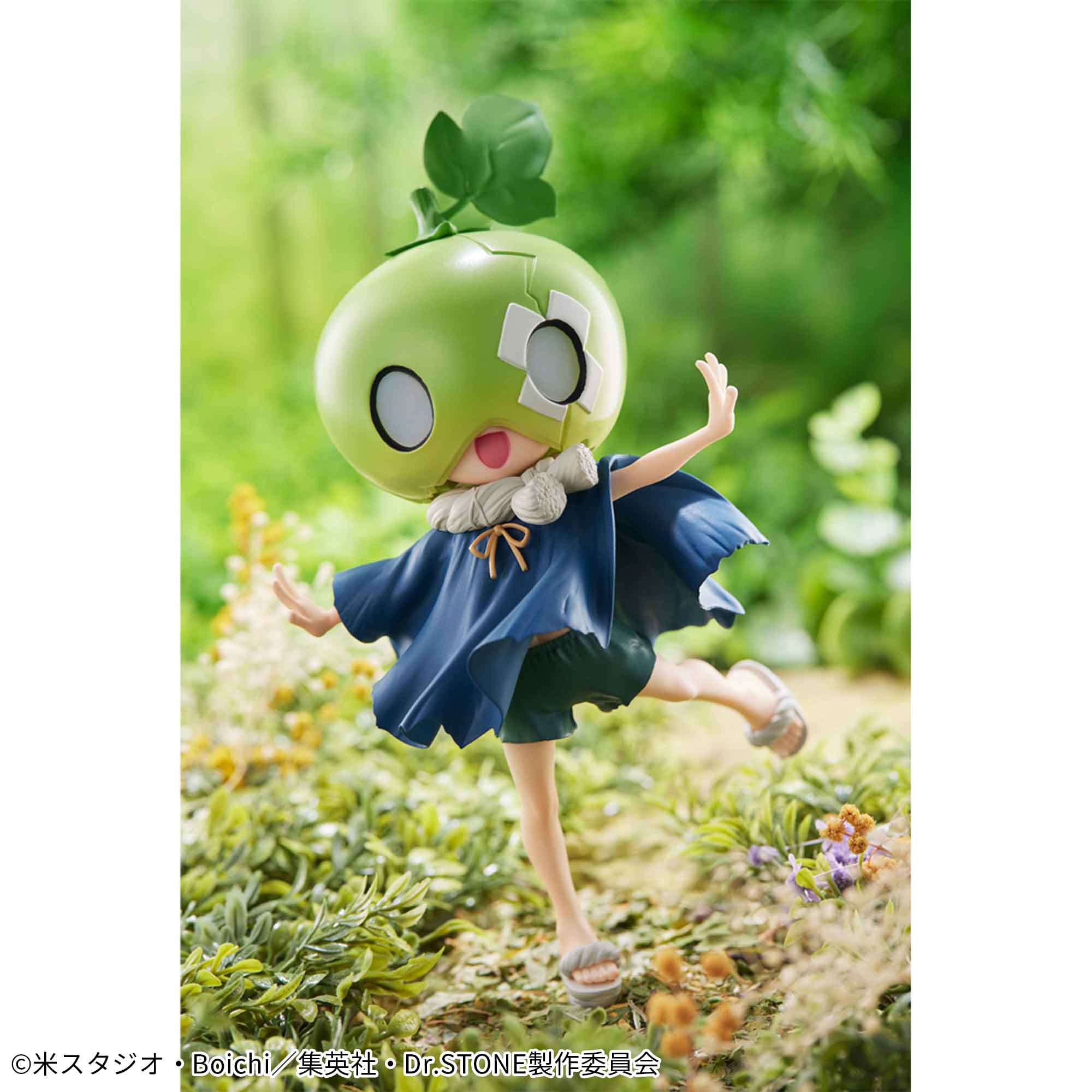 DR. STONE - Suika