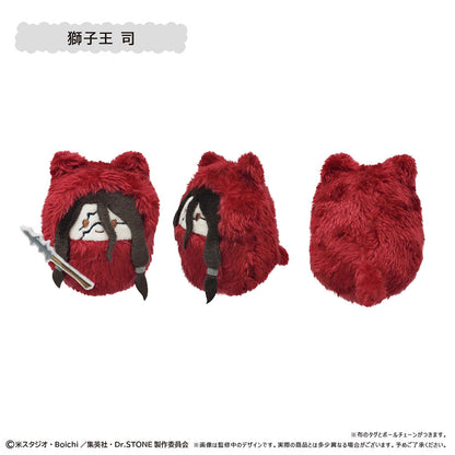 Dr. Stone Kurumi Tapinui - Complete Set of 6 Types [Pre-order Oct 2026]