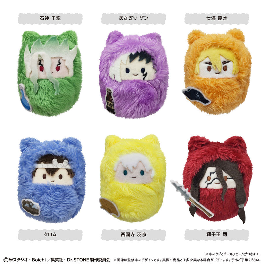 Dr. Stone Kurumi Tapinui - Complete Set of 6 Types [Pre-order Oct