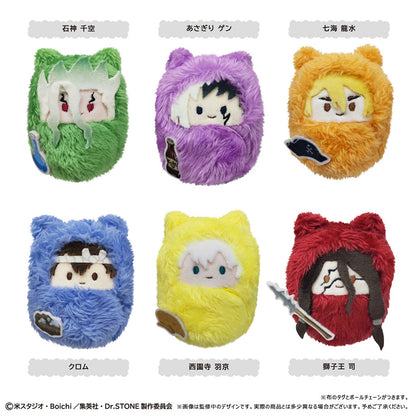 Dr. Stone Kurumi Tapinui - Complete Set of 6 Types [Pre-order Oct 2026]