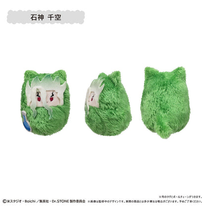 Dr. Stone Kurumi Tapinui - Complete Set of 6 Types [Pre-order Oct 2026]