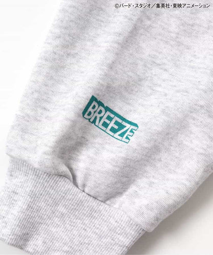 Dragon Ball x BREEZE Fashion Collection - Dragon Ball Collaboration Motif Adult Sweatshirts (2 Types)