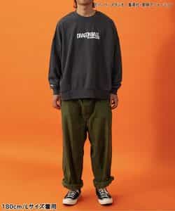 Dragon Ball x BREEZE Fashion Collection - Dragon Ball Collaboration Motif Adult Sweatshirts (2 Types) [Pre-Order Jan 2026]