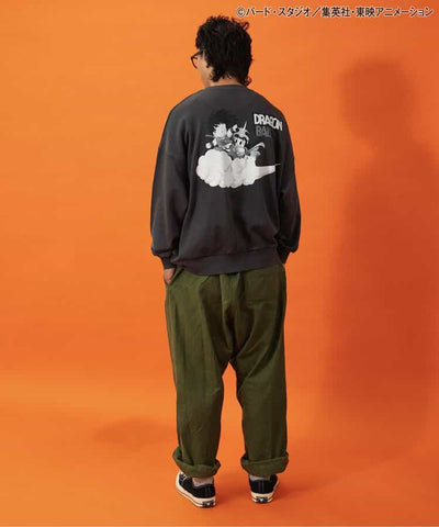 Dragon Ball x BREEZE Fashion Collection - Dragon Ball Collaboration Motif Adult Sweatshirts (2 Types)