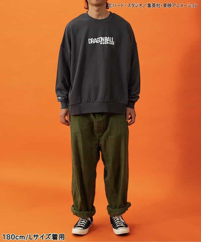 Dragon Ball x BREEZE Fashion Collection - Dragon Ball Collaboration Motif Adult Sweatshirts (2 Types)