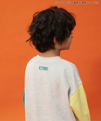 Dragon Ball x BREEZE Fashion Collection - Dragon Ball Collaboration Motif Kids Sweatshirts (2 Types) [Pre-Order Jan 2026]