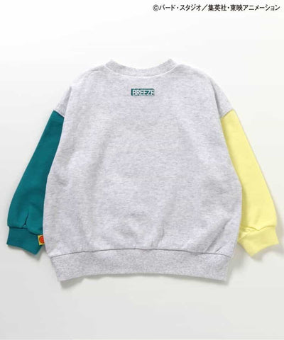 Dragon Ball x BREEZE Fashion Collection - Dragon Ball Collaboration Motif Kids Sweatshirts (2 Types) [Pre-Order Jan 2026]