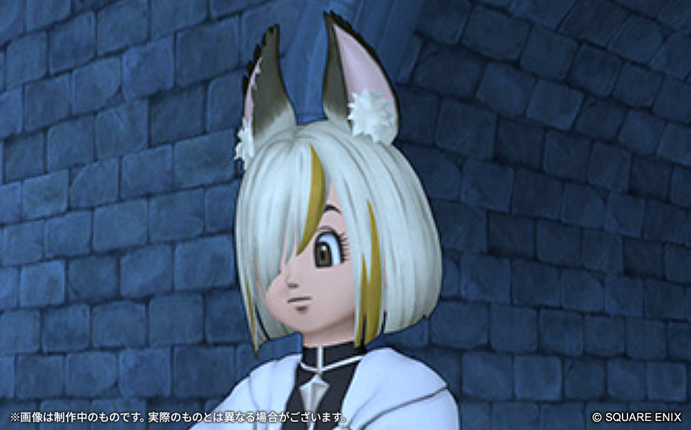 Dragon Quest X: Lost Children of Time and Space Online Fairy Toy Box Set - Windows Download Ver. [Pre-Order Jun 2026]