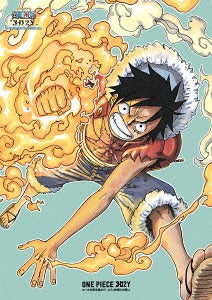 One Piece "3D2Y" Overcoming Ace's Death! Luffy's Pledge to His Friends [Limited Edition] - DVD, Japanese Edition