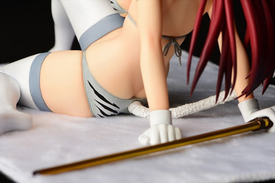 Fairy Tail - Erza Scarlet Gravure Style White Tiger / Halloween Cat / Sakura cat