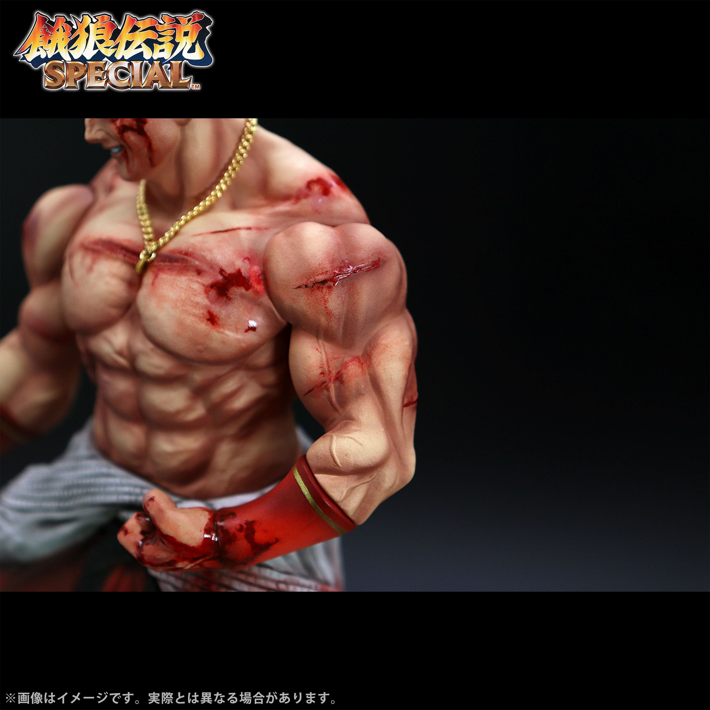 Fatal Fury Special the King of Collectors' 24 Ex - Geese Howard Hg Damage Ver.