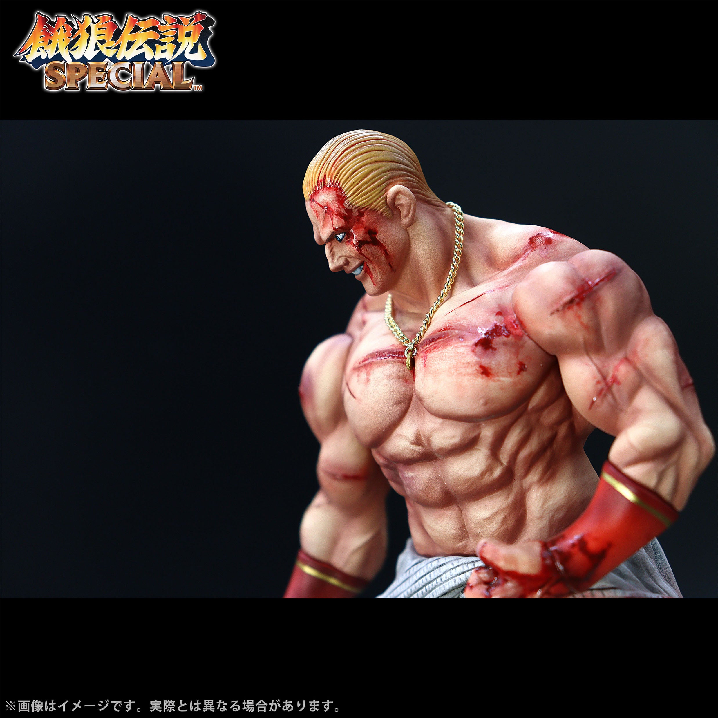 Fatal Fury Special the King of Collectors' 24 Ex - Geese Howard Hg Damage Ver.
