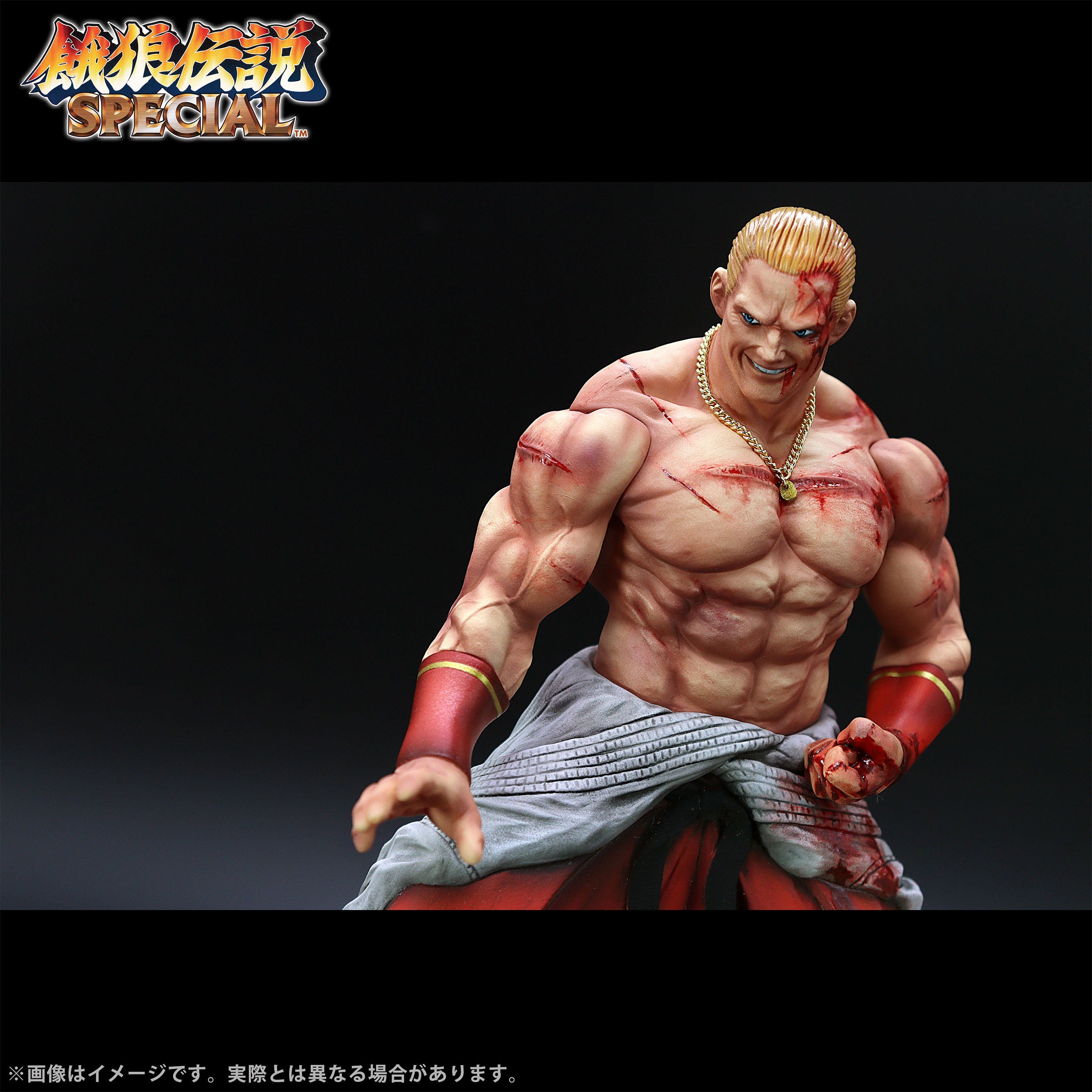 Fatal Fury Special the King of Collectors' 24 Ex - Geese Howard Hg Damage Ver.