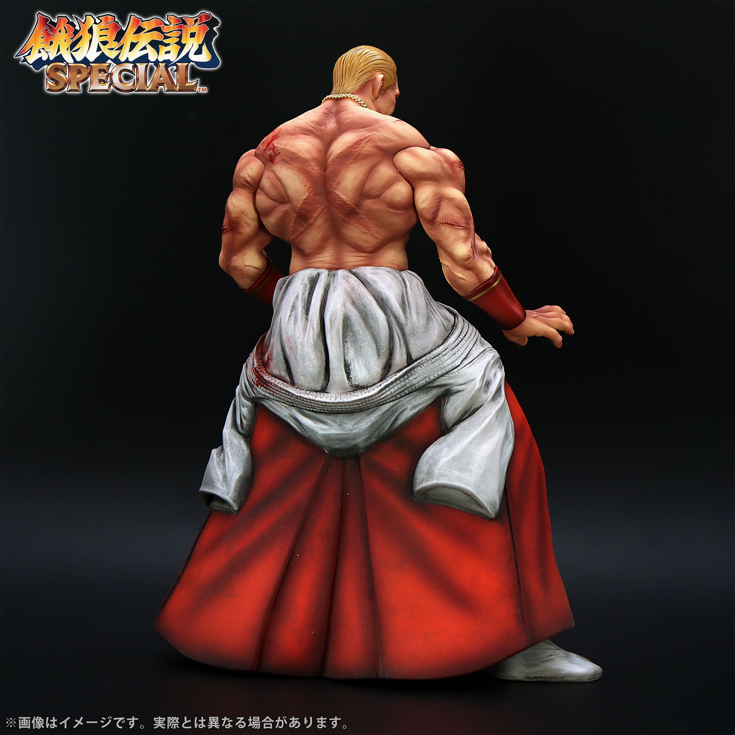 Fatal Fury Special the King of Collectors' 24 Ex - Geese Howard Hg Damage Ver.