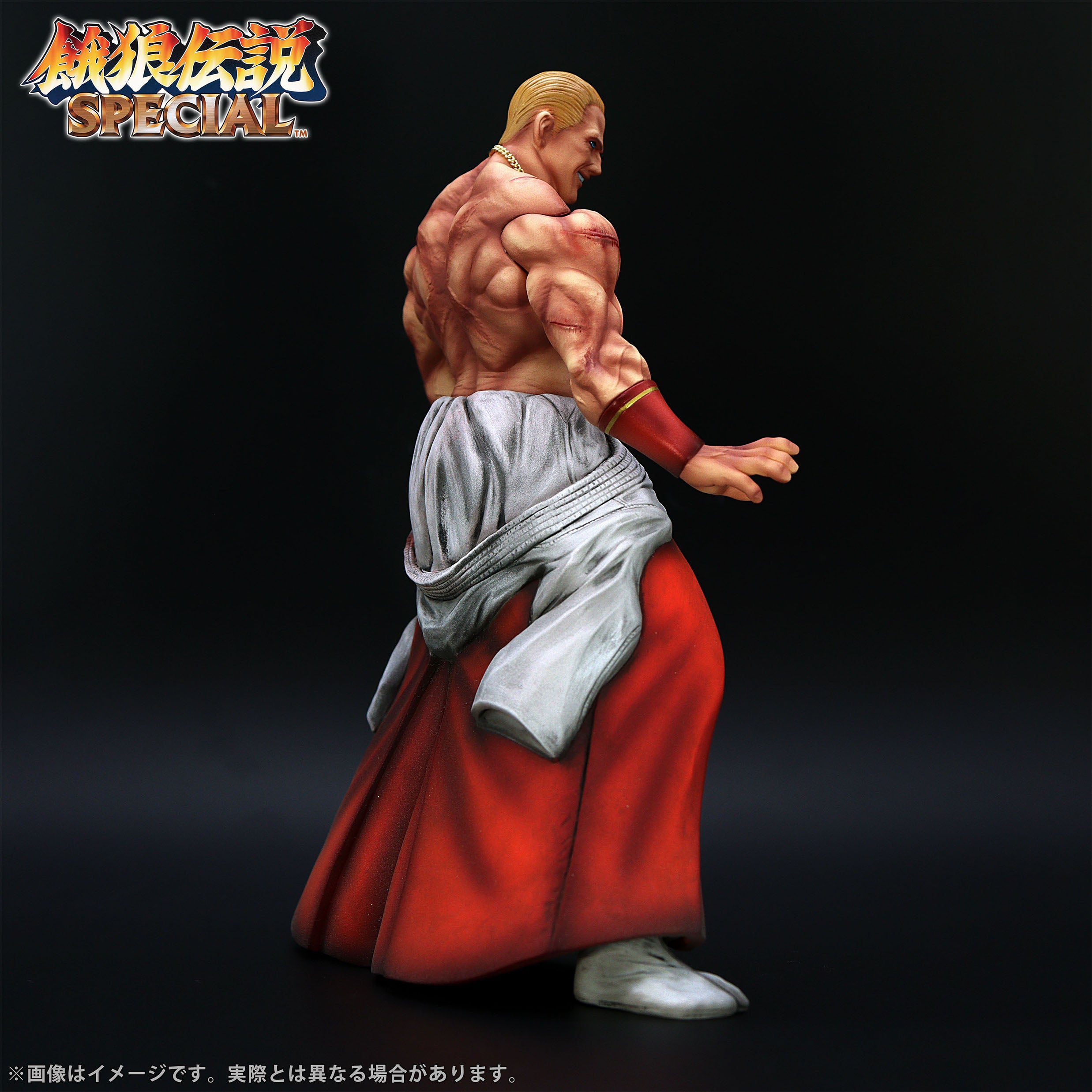Fatal Fury Special the King of Collectors' 24 Ex - Geese Howard Hg Damage Ver.