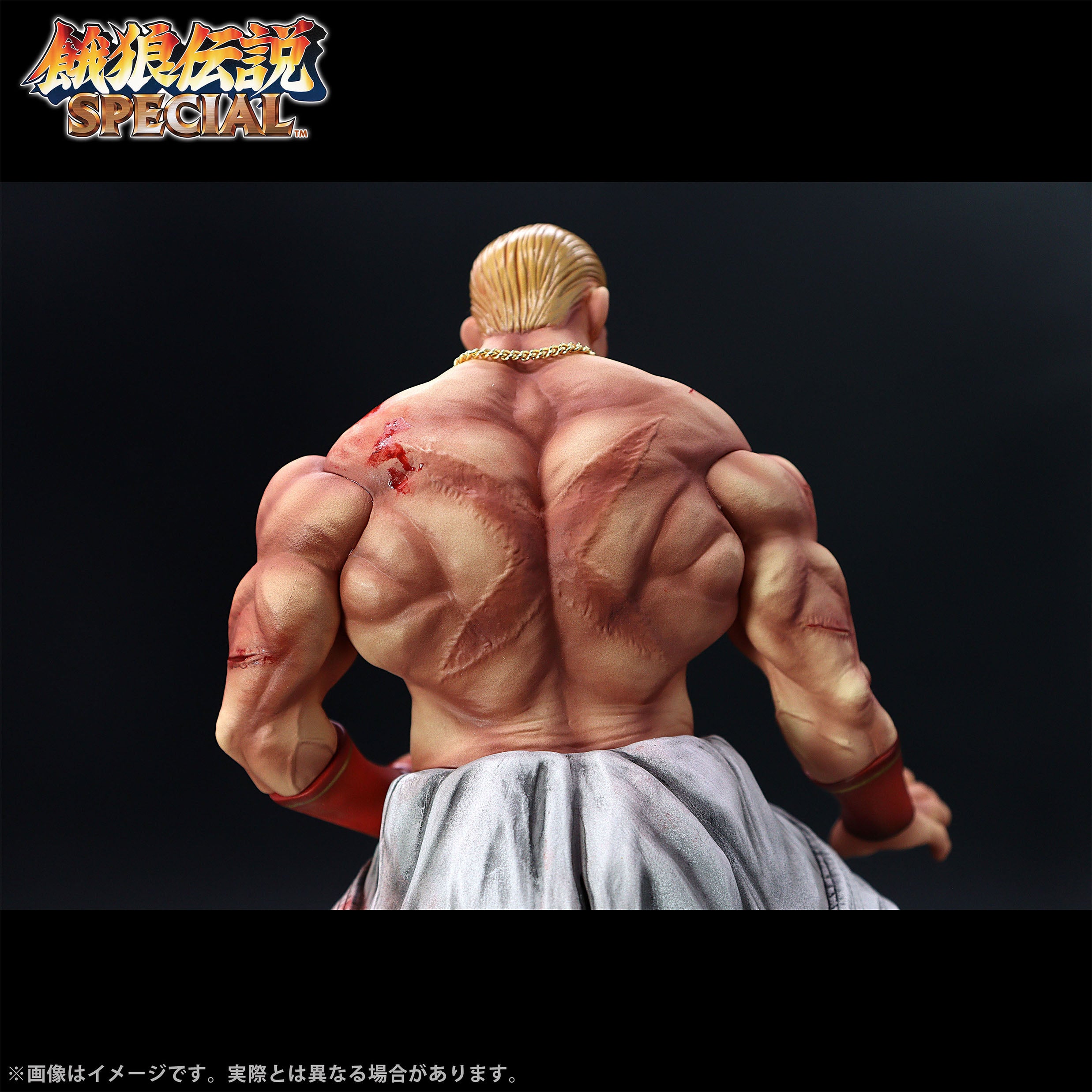 Fatal Fury Special the King of Collectors' 24 Ex - Geese Howard Hg Damage Ver.
