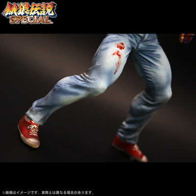 Fatal Fury Special the King of Collectors' 24 Ex - Terry Bogard Hg Damage Ver.