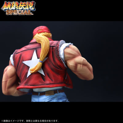 Fatal Fury Special the King of Collectors' 24 Ex - Terry Bogard Hg Damage Ver.